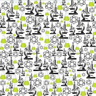 WS Making the Grade: Eighth Grade