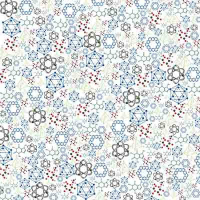 WS Making the Grade: Sophomore