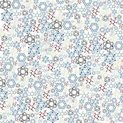 Making the Grade: Sophomore