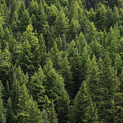 WS Mountains Calling: Mountain Peak