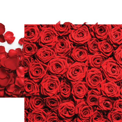 Made with Love: Red Roses
