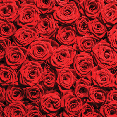 Made with Love: Red Roses