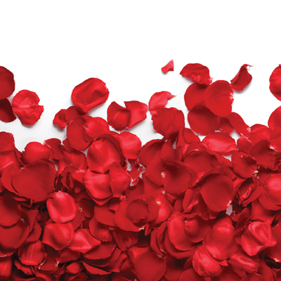 Made with Love: Red Roses