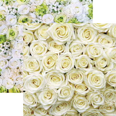 Made with Love: White Roses