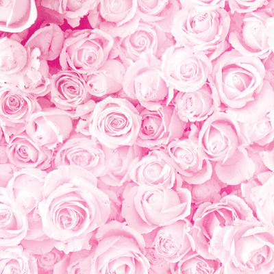 WS Made with Love: Rose Bouquet