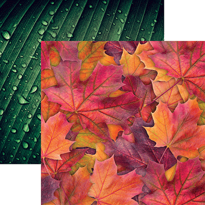 Nature's Beauty: Nature's Beauty 1