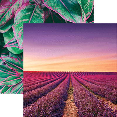 WS Nature's Beauty: Nature's Beauty 2