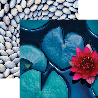 Nature's Beauty: Nature's Beauty 3