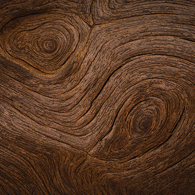 WS Nature's Beauty: Nature's Beauty 4