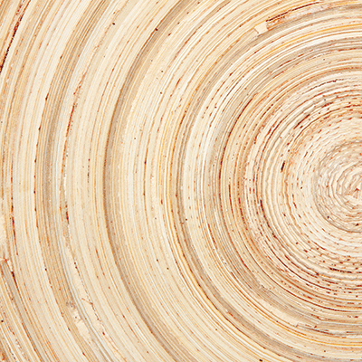 Nature's Beauty: Nature's Beauty 4