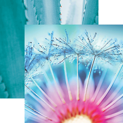 WS Nature's Beauty: Nature's Beauty 6