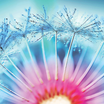 Nature's Beauty: Nature's Beauty 6