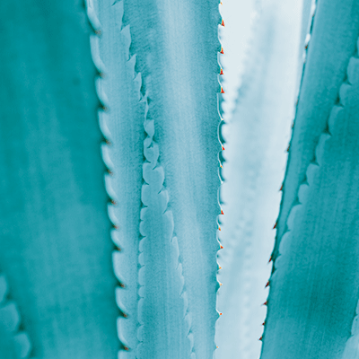 WS Nature's Beauty: Nature's Beauty 6