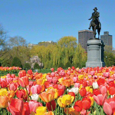 WS New England: Boston Public Garden