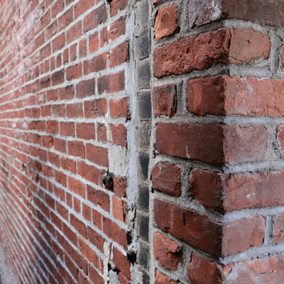 WS New England: Boston Public Garden