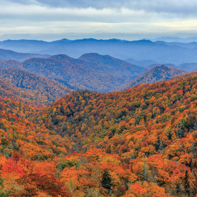 WS National Parks: Great Smoky Mountains