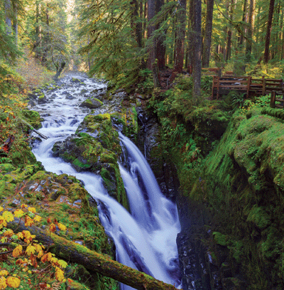 WS National Parks: Yosemite