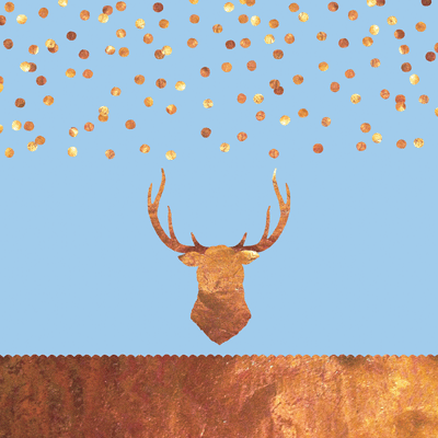 WS Oh Baby Boy: Brave