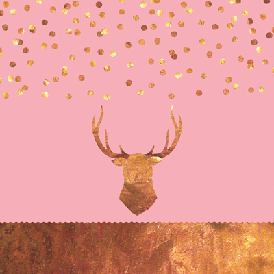 WS Oh Baby Girl: Oh Dear