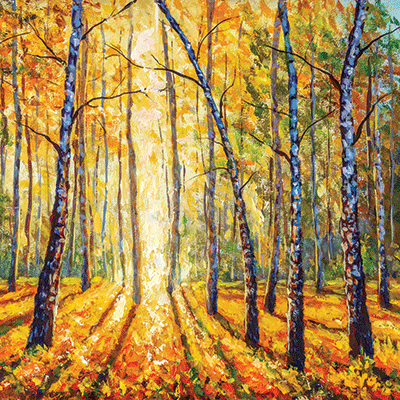 WS October Roads: Fall Forest