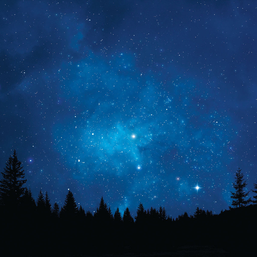 WS Outer Space: Under the Stars