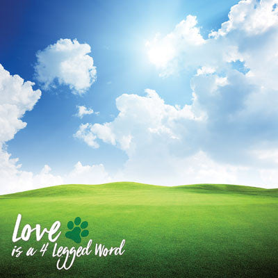 WS Pawprints On My Heart: Love is a 4 Legged Word