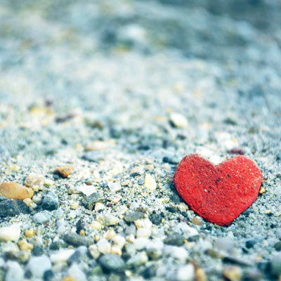 WS Pawprints On My Heart: Love is a 4 Legged Word