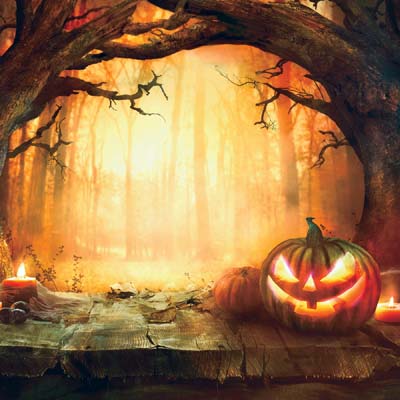 WS Pumpkin Hallow: Sunset Pumpkin