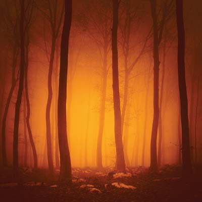 Pumpkin Hallow: Sunset Pumpkin