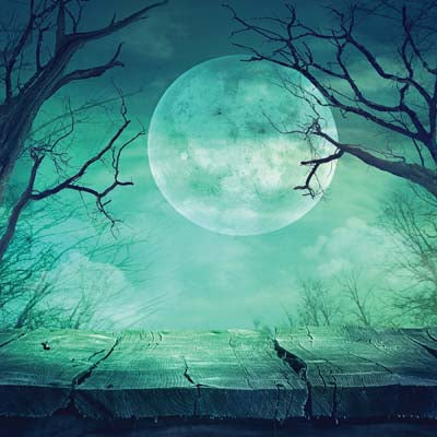 WS Pumpkin Hallow: Fenced Pumpkin