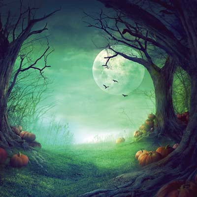 WS Pumpkin Hallow: Pumpkin Hallow