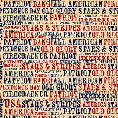 WS Party in the USA: Party in the USA