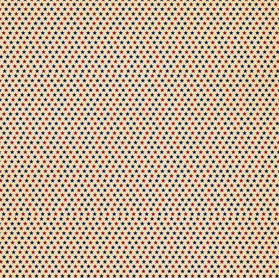 Party in the USA: Party in the USA