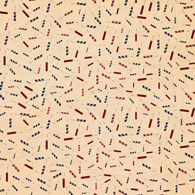 WS Party in the USA: What a Blast