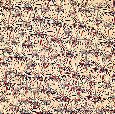 WS Party in the USA: What a Blast