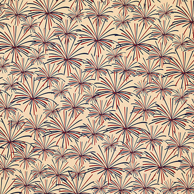 Party in the USA: What a Blast