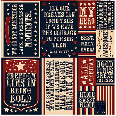Party in the USA: 12 x 12 Quote Sticker