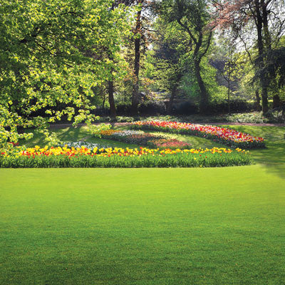 WS Photo Shoot: Waterfall Landscape