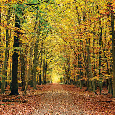 Photo Shoot: Bridges