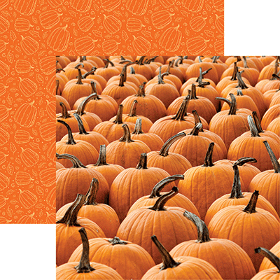 WS Pumpkin Patch: Pumpkins Galore