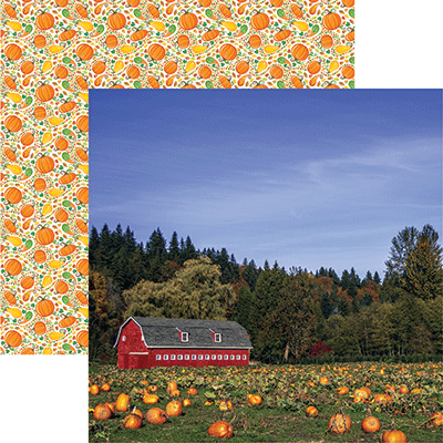 Pumpkin Patch: Pumpkin Patch
