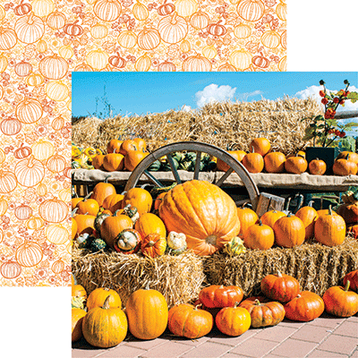 Pumpkin Patch: Pumpkin Display
