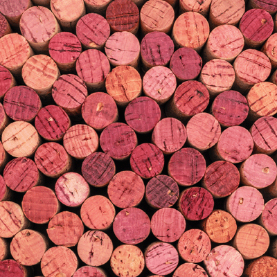 WS Rose All Day: Rose Inspired