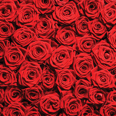 Romantique: Dozens of Roses