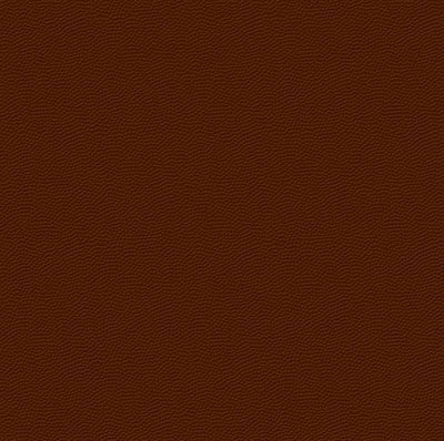 WS Real Sports: Football Leather (Textured)