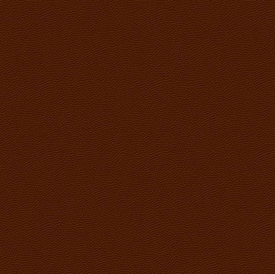 Real Sports: Football Leather (Textured)