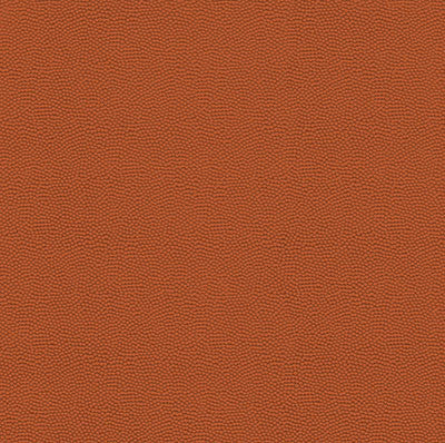 Real Sports: Basketball Leather (Textured)