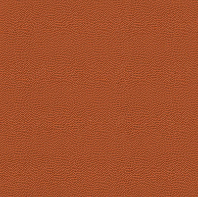 WS Real Sports: Basketball Leather (Textured)