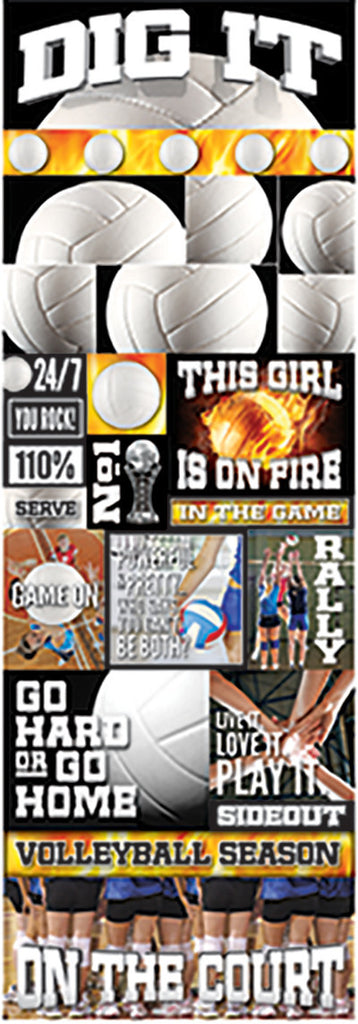 WS Real Sports: Volleyball Graphic Sticker