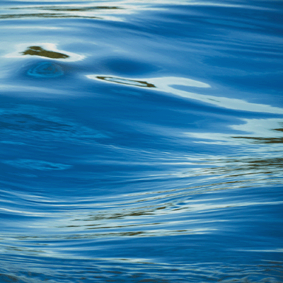 Rocky Shores: Shattered Sea